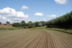 SCHOONE SCHAAPJES-STADEN 2011