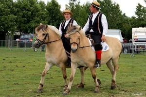 SCHOONE SCHAAPJES-STADEN 2011