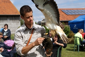 SCHOONE SCHAAPJES-STADEN 2011