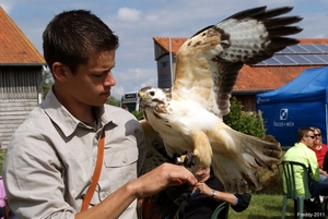 SCHOONE SCHAAPJES-STADEN 2011