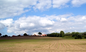 SCHOONE SCHAAPJES-STADEN 2011