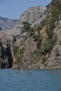 20110627_3470