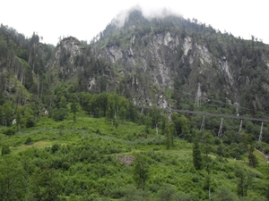tn_SDC11459