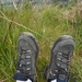 ierland 092