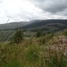 ierland 093