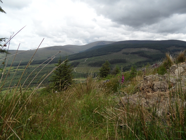 ierland 093