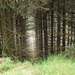 ierland 103