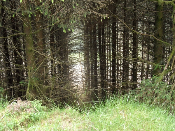 ierland 103
