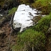 ierland 118