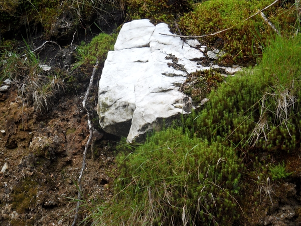 ierland 118
