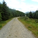 ierland 200