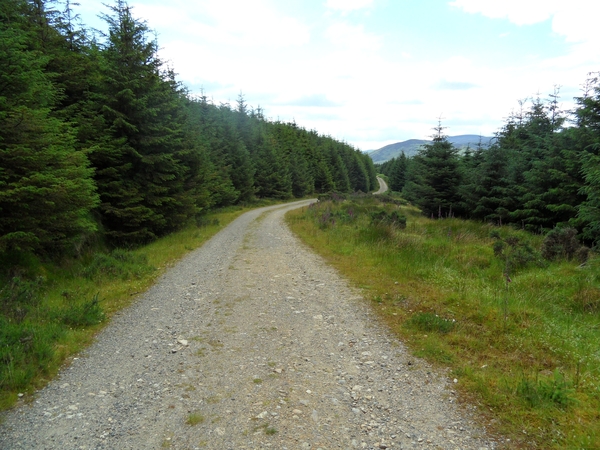 ierland 200