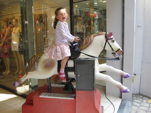 28) Jana op 't grote paard