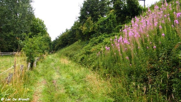 Aktivia wandeling Denderleeuw Schiptrekkerstocht