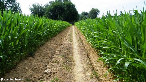 Aktivia wandeling Denderleeuw Schiptrekkerstocht