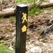 DSCN0358