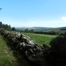 DSCN0906