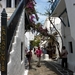 177 P1010898 Mykonos