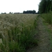 20110711.Laarne 020