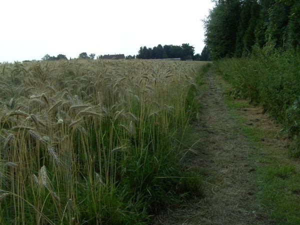 20110711.Laarne 020