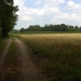 20110711.Laarne 022