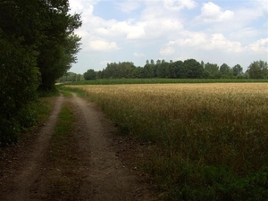 20110711.Laarne 022