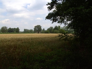 20110711.Laarne 024