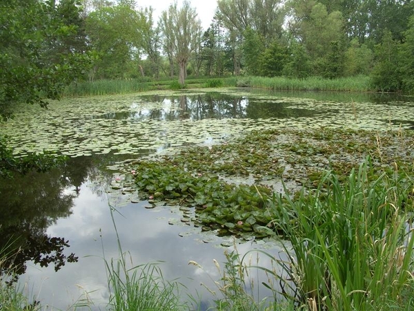 20110711.Laarne 025  stukje Damvallei