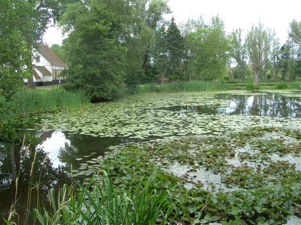 20110711.Laarne 026