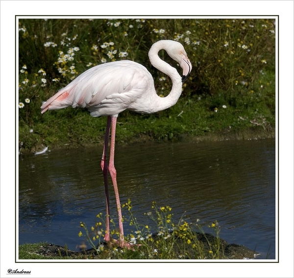sized_061a