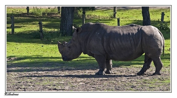 sized_073a