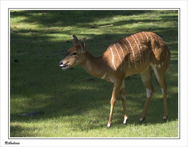 sized_097a