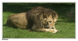 sized_121a