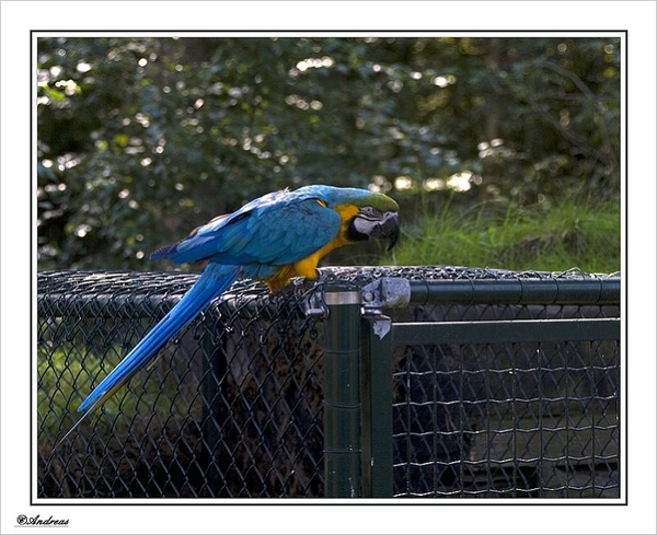 sized_142a
