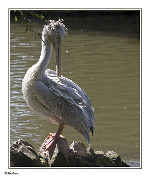 sized_145a