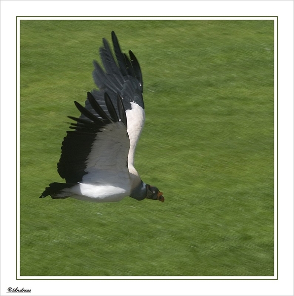 sized_192a
