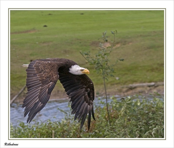 sized_252a