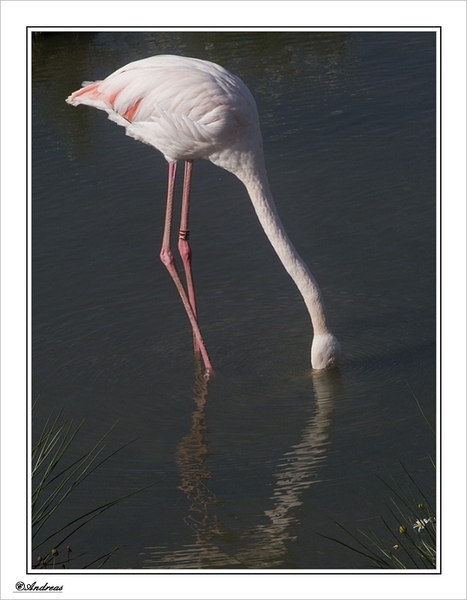 sized_342a