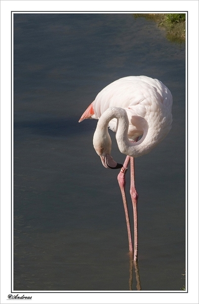 sized_345a
