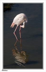 sized_348a