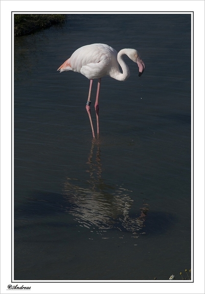 sized_352a