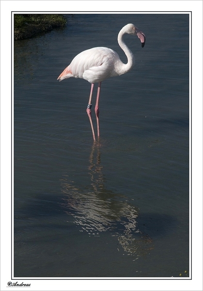 sized_353a