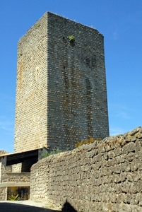 Chteau de Montlimar