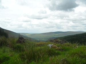 ierland 107