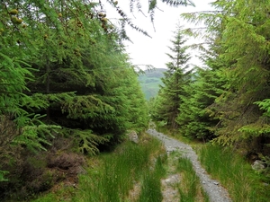 ierland 122