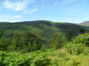 ierland 169