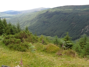 ierland 204
