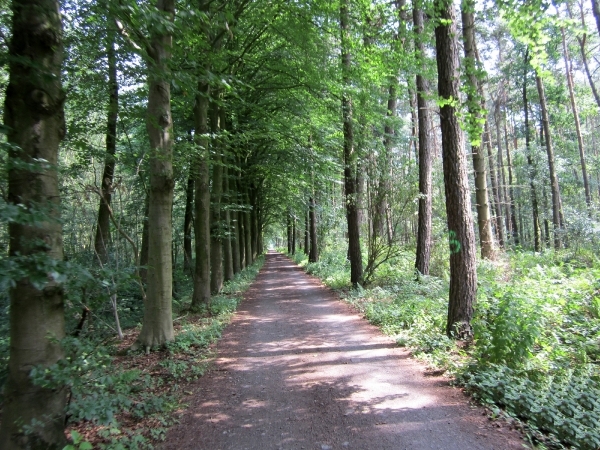 dagfietstocht Kav 12-07-2011 023