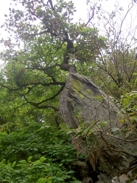 2006-09-14 Vielsalm 043