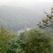 2006-09-14 Vielsalm 057
